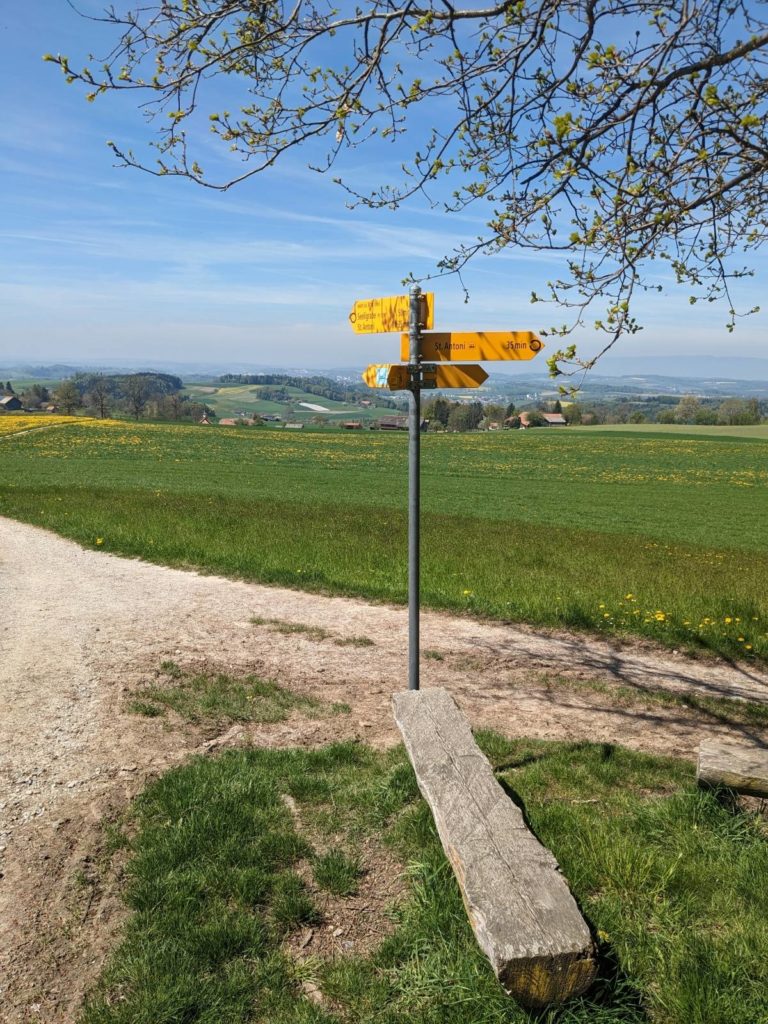 banc-2677