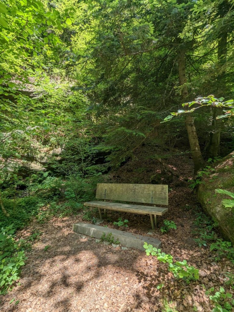 banc-2699