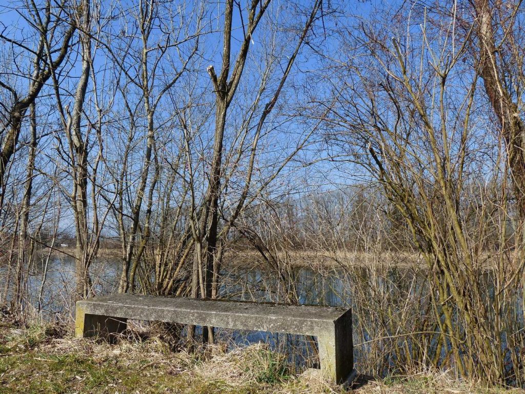 banc-272