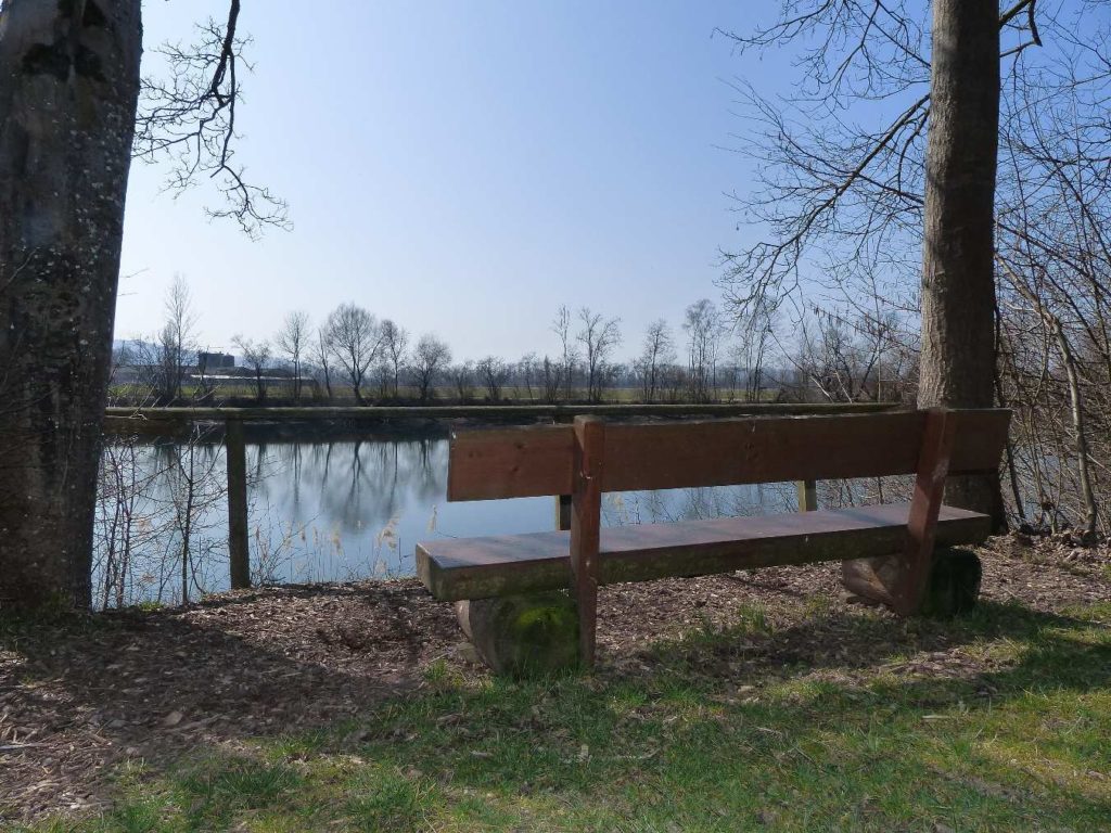 banc-273