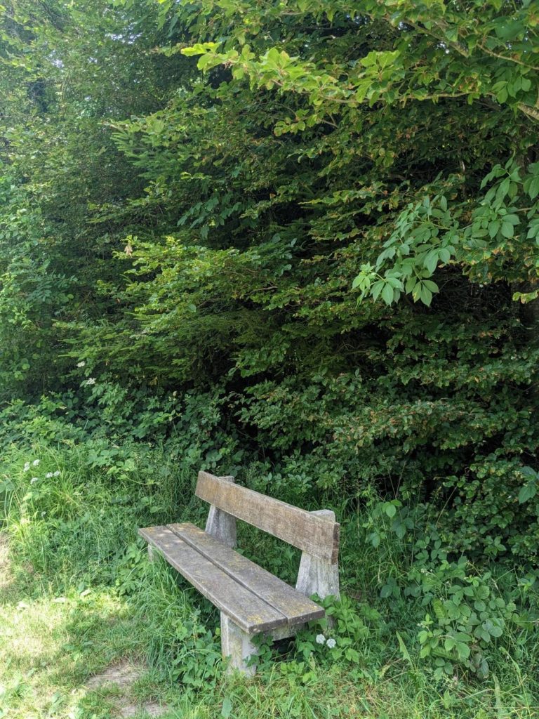 banc-2746