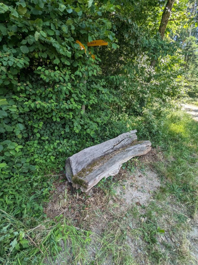 banc-2756