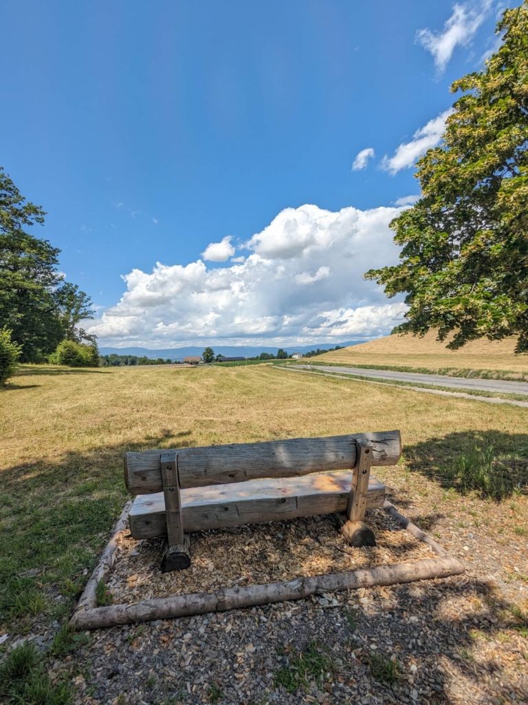 banc-2793