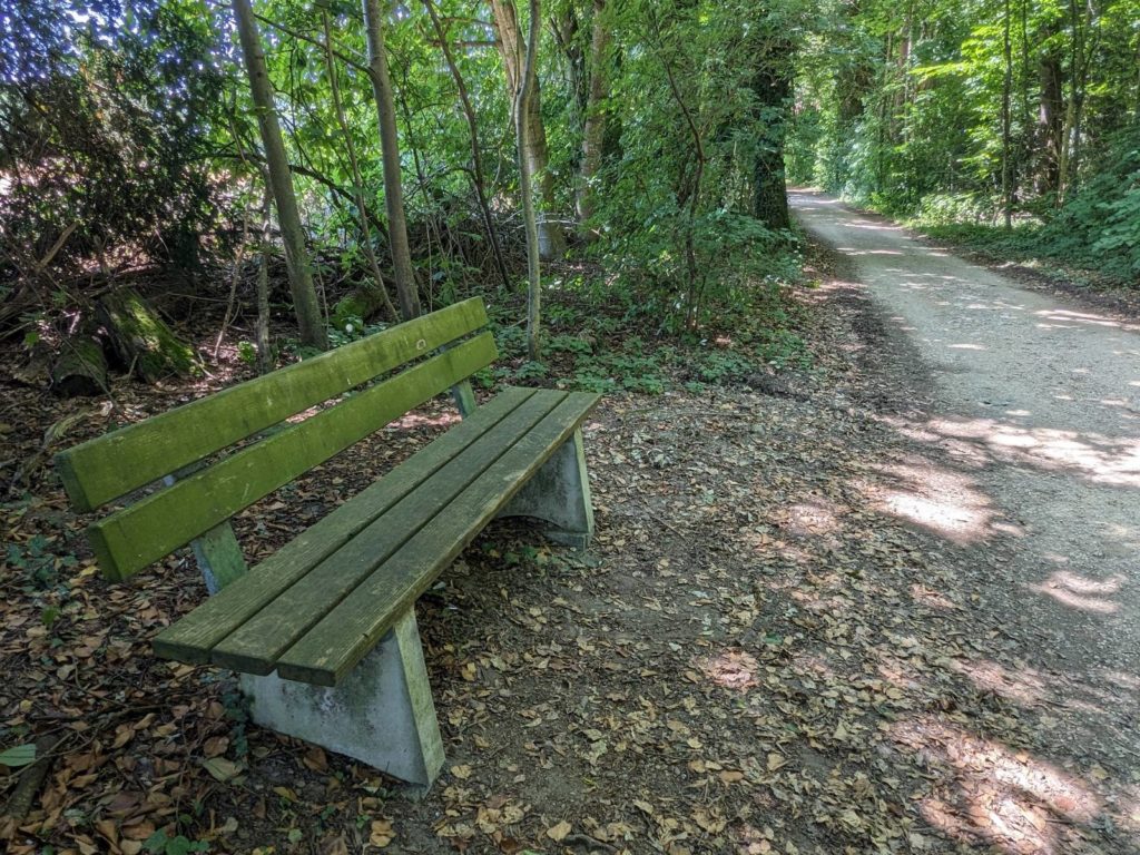 banc-2799