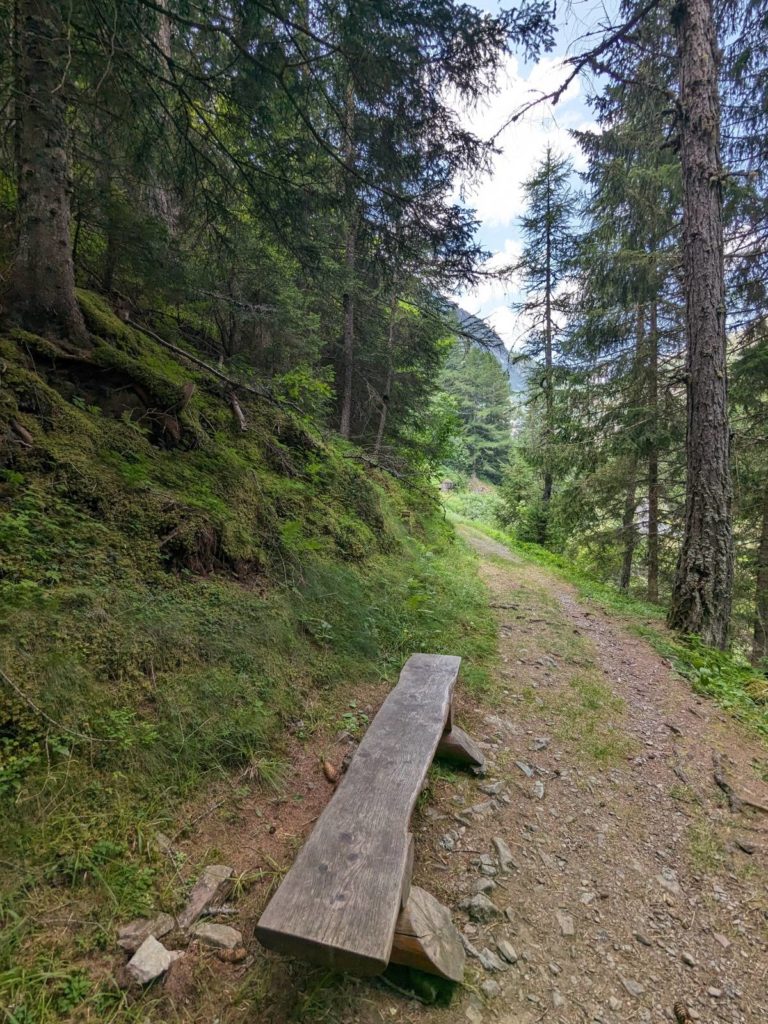banc-2806