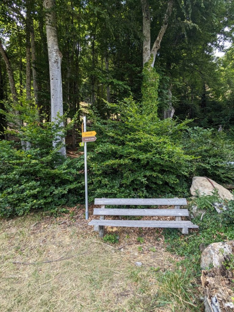 banc-2823
