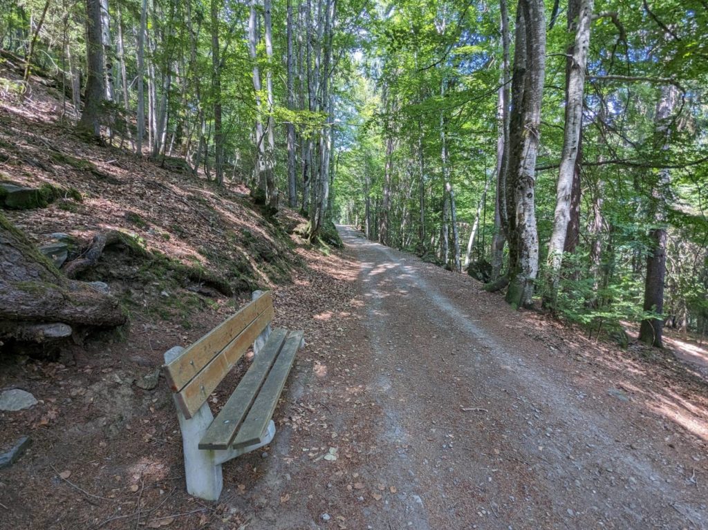 banc-2826