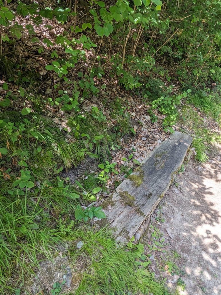 banc-2830