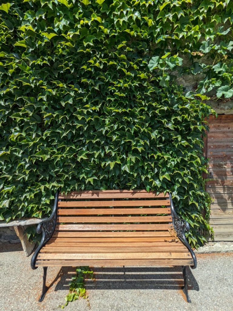 banc-2836