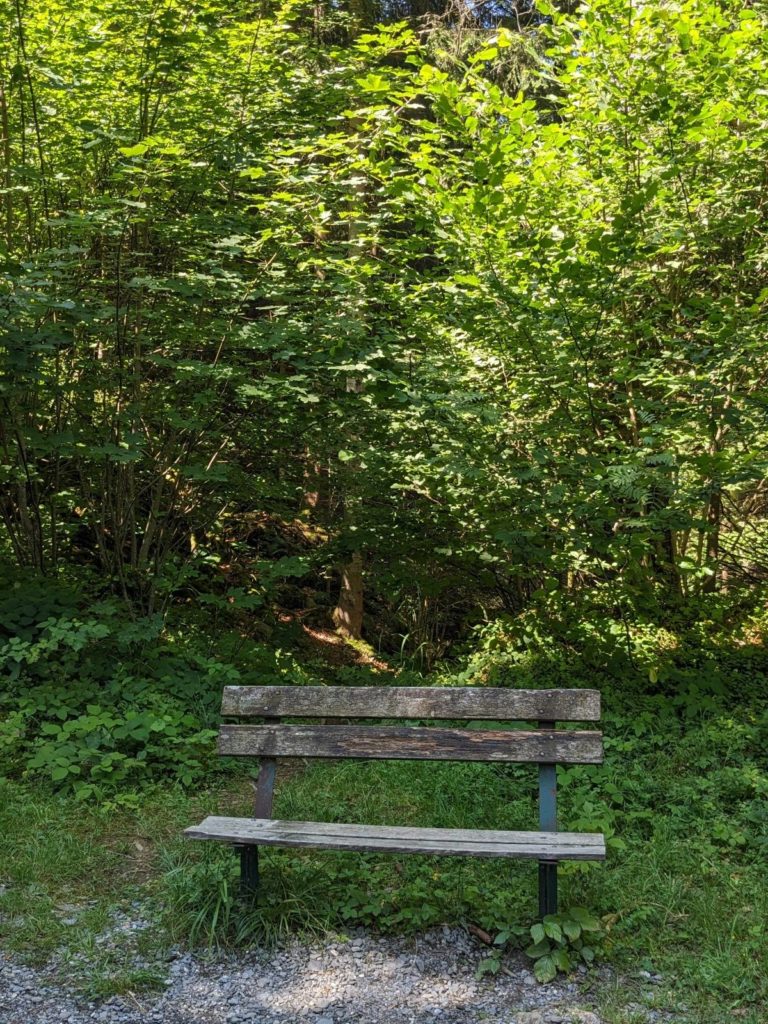 banc-2846