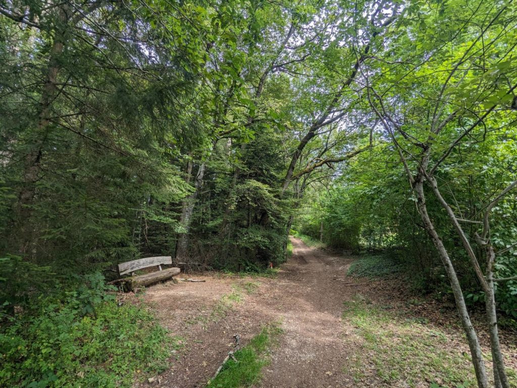 banc-2863
