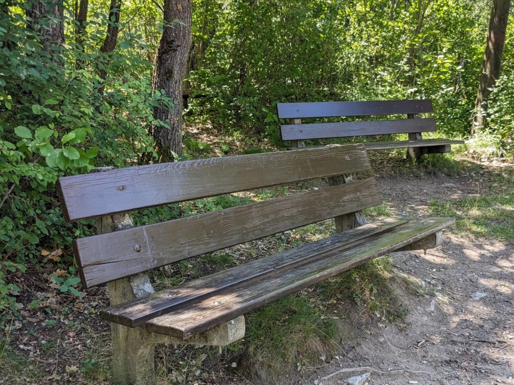 banc-2869