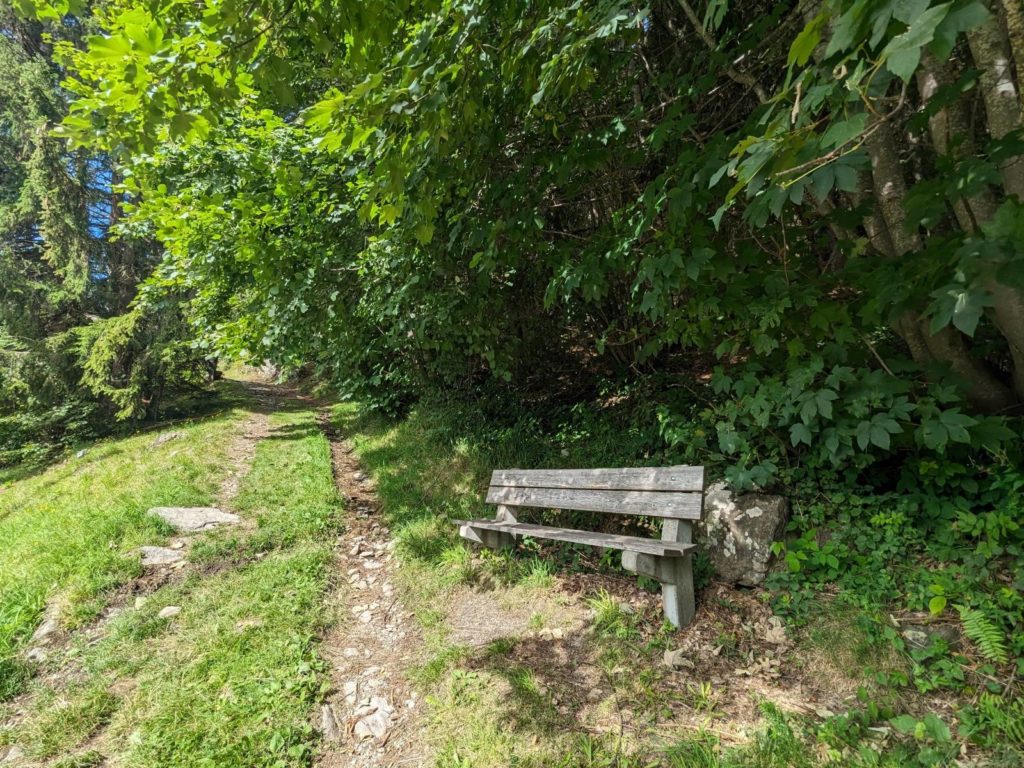 banc-2876