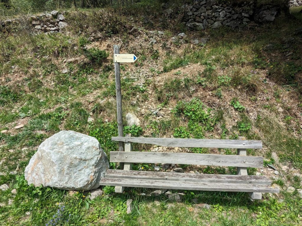 banc-2879