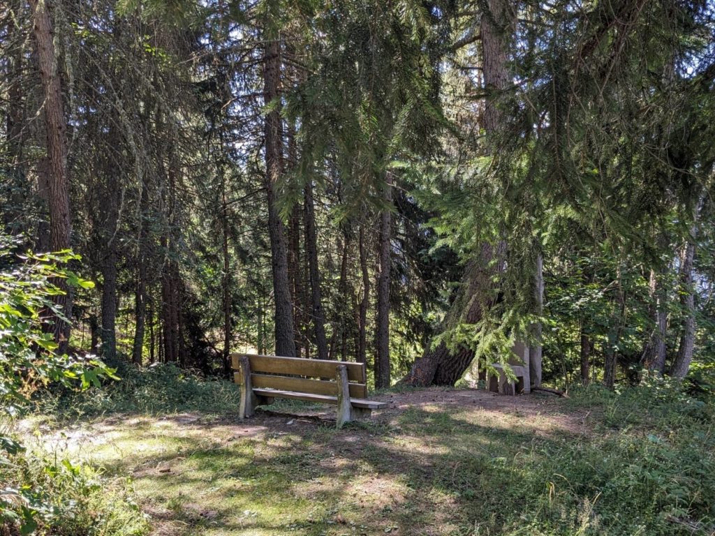 banc-2888
