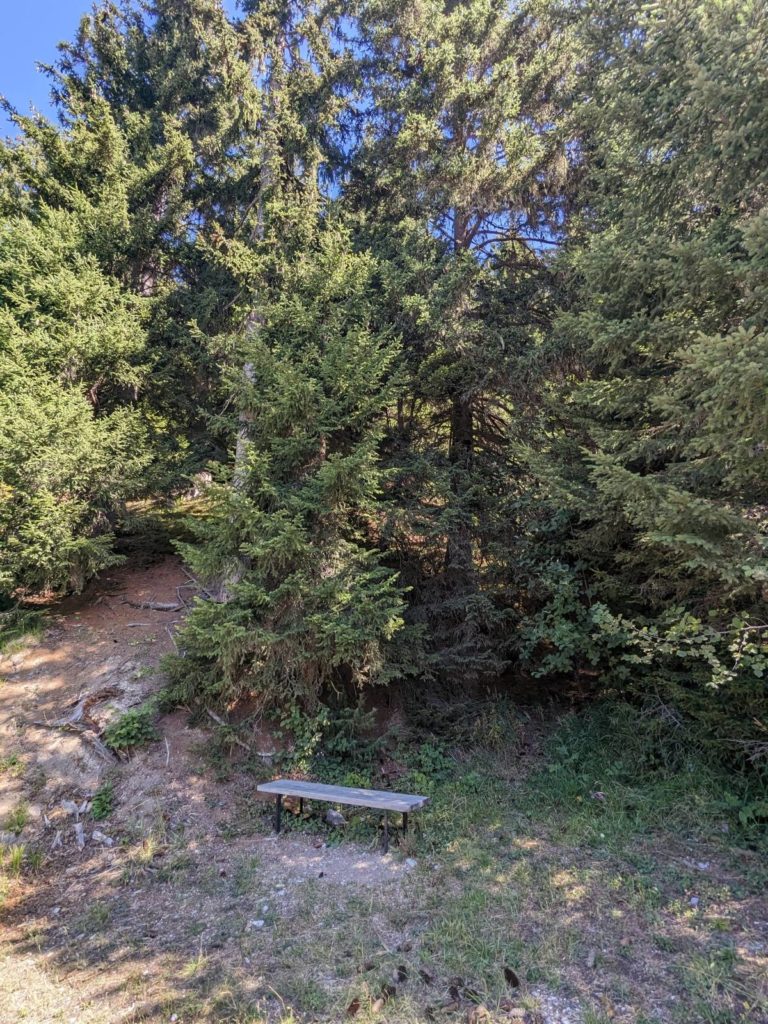 banc-2890