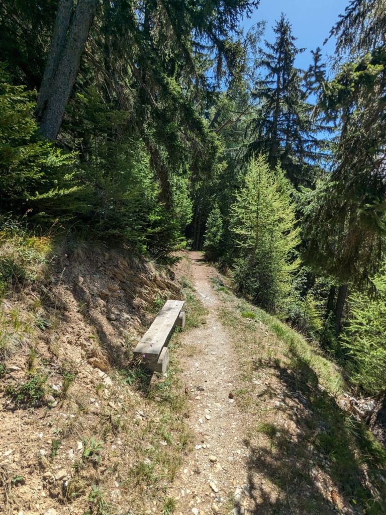 banc-2896