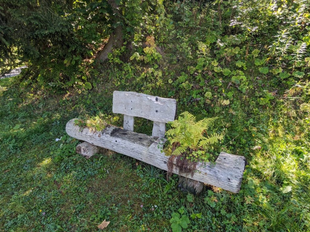 banc-2928