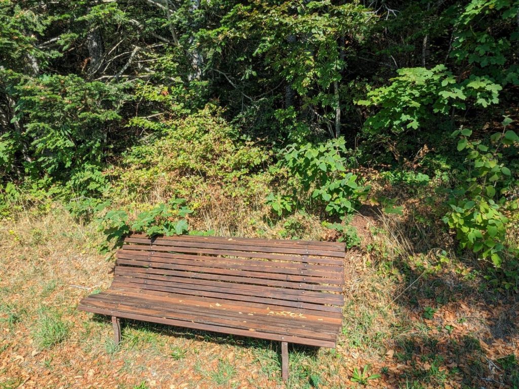 banc-2951