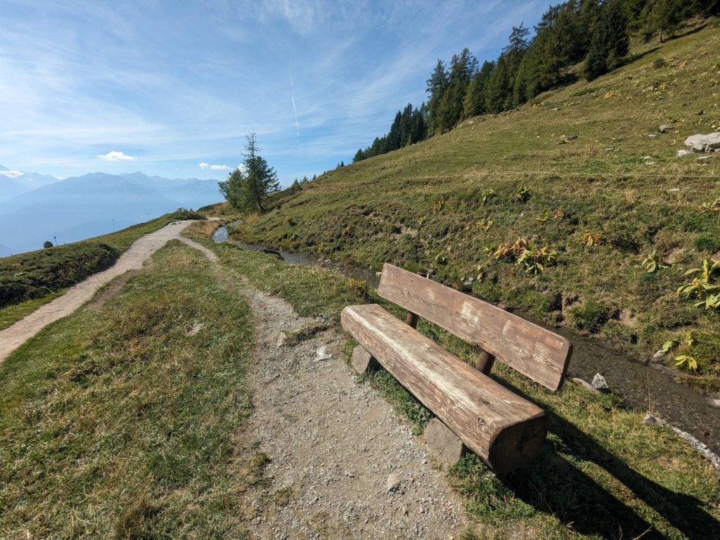 banc-2955
