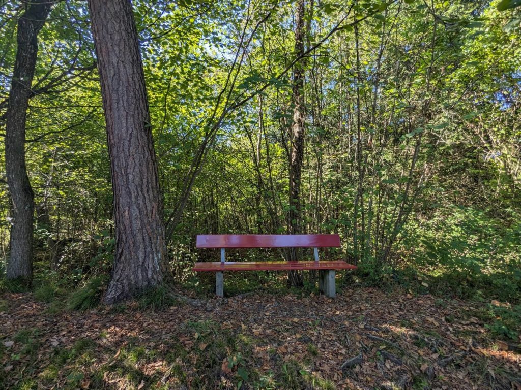 banc-2983
