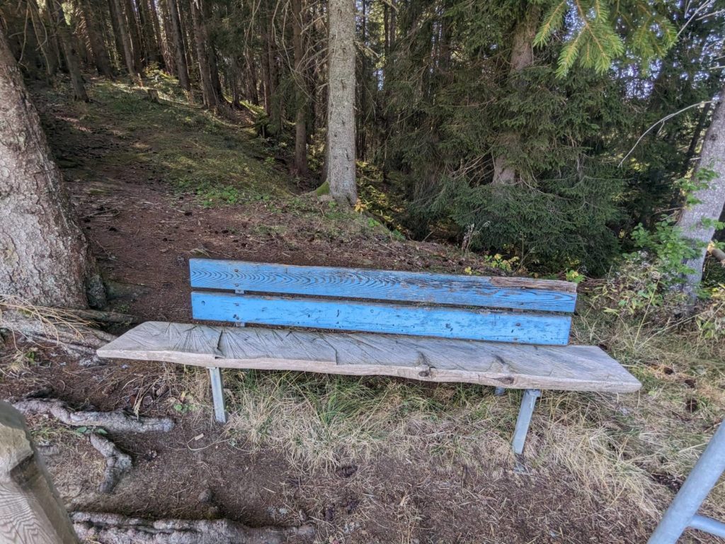 banc-3028