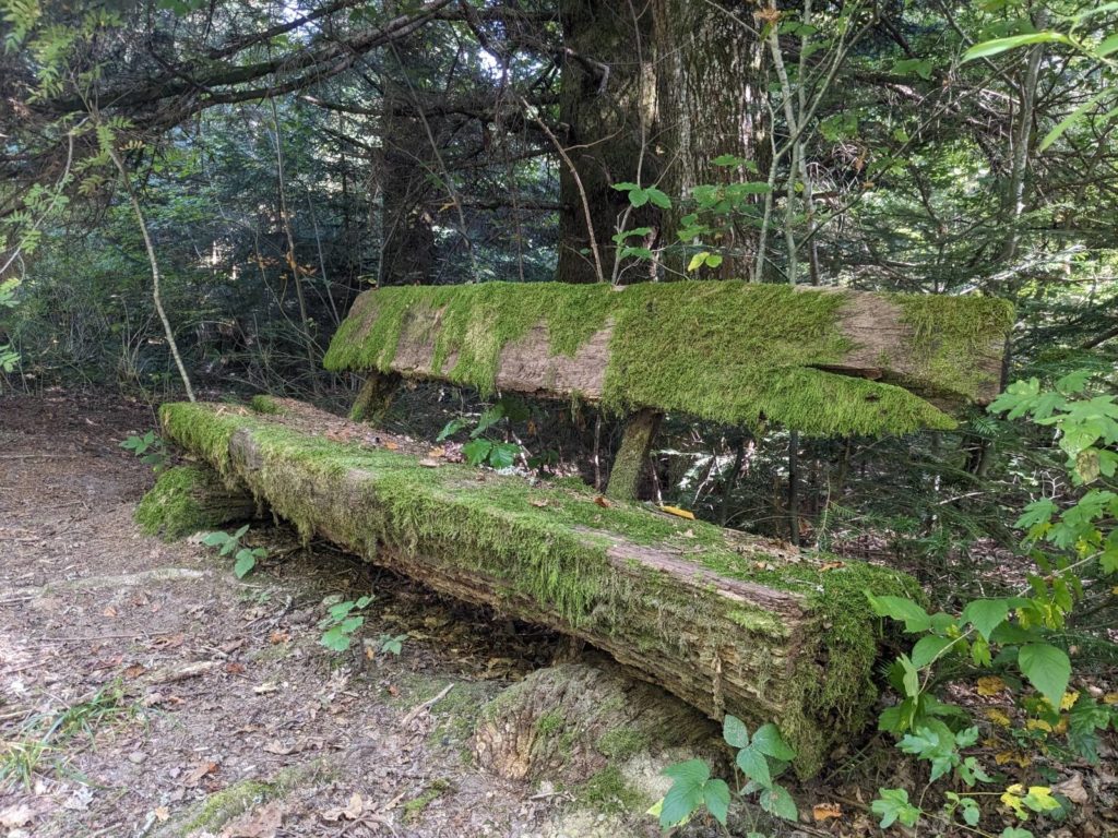 banc-3030