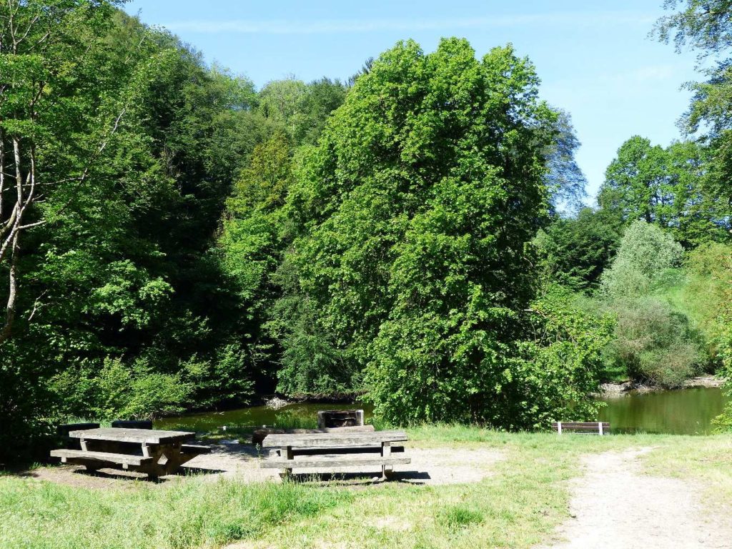 banc-305