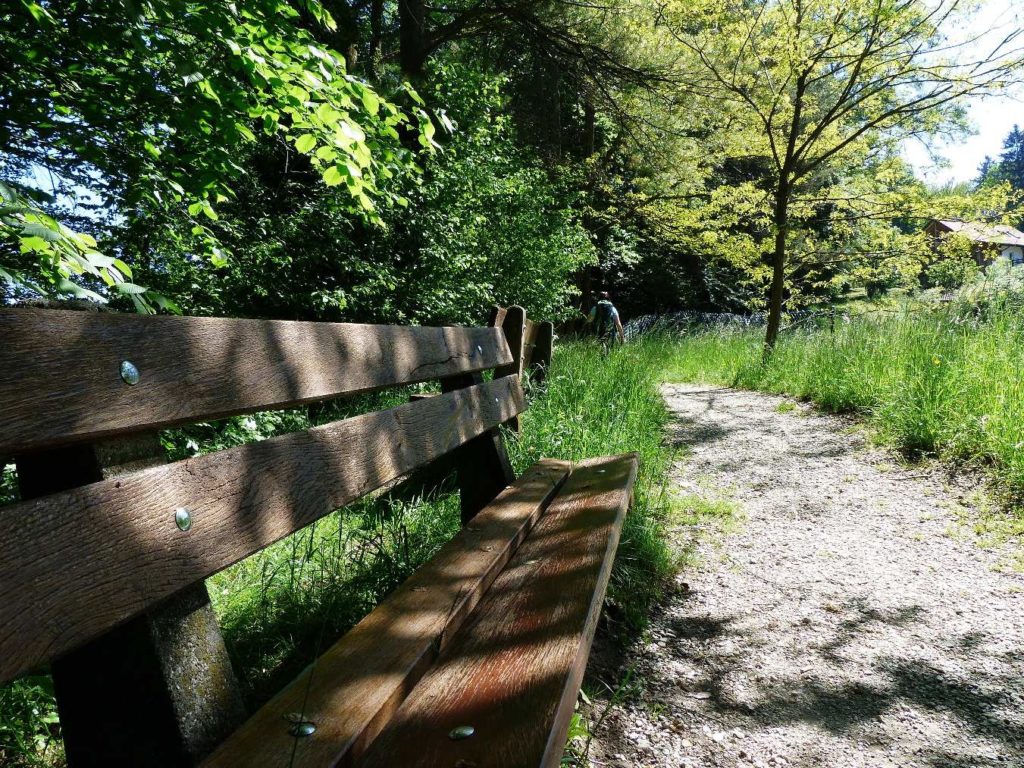 banc-306