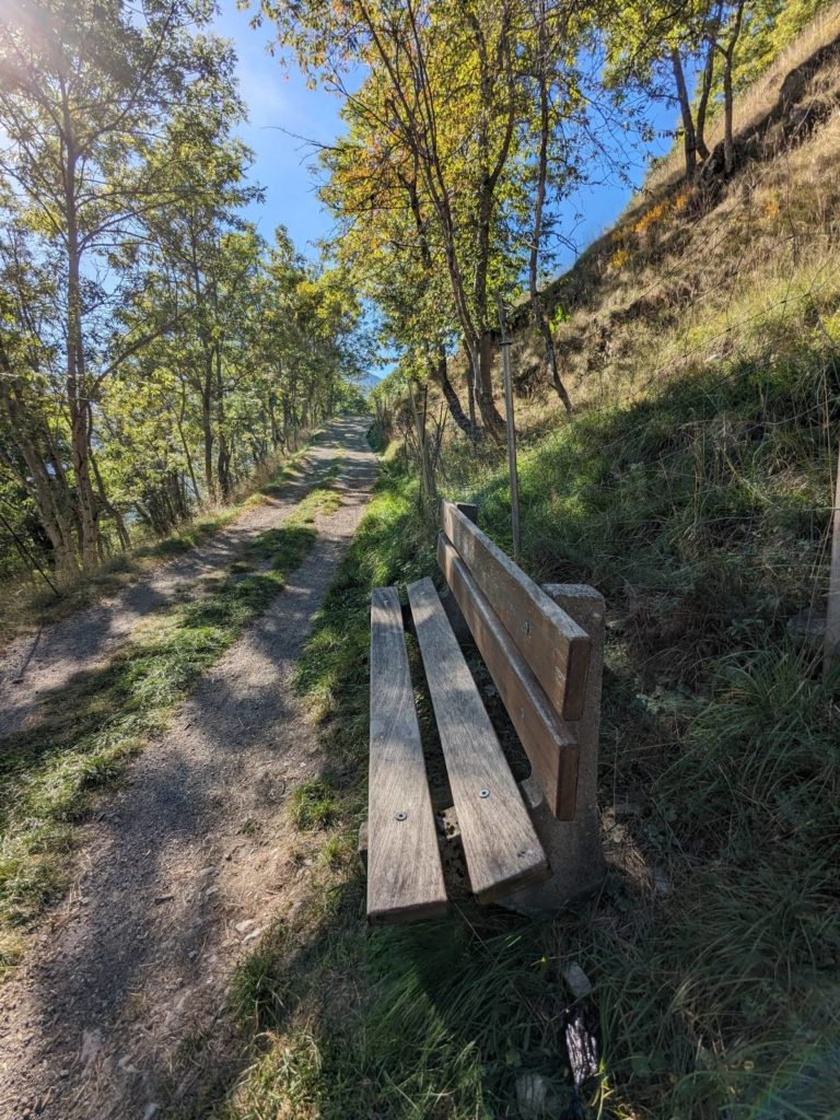 banc-3061