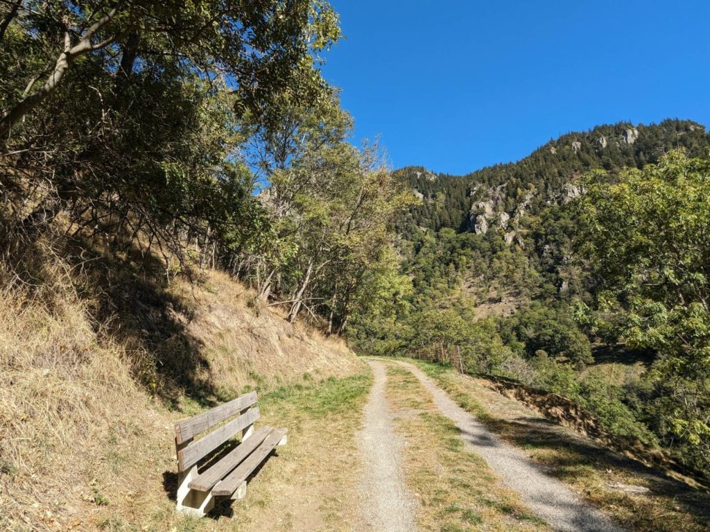 banc-3062