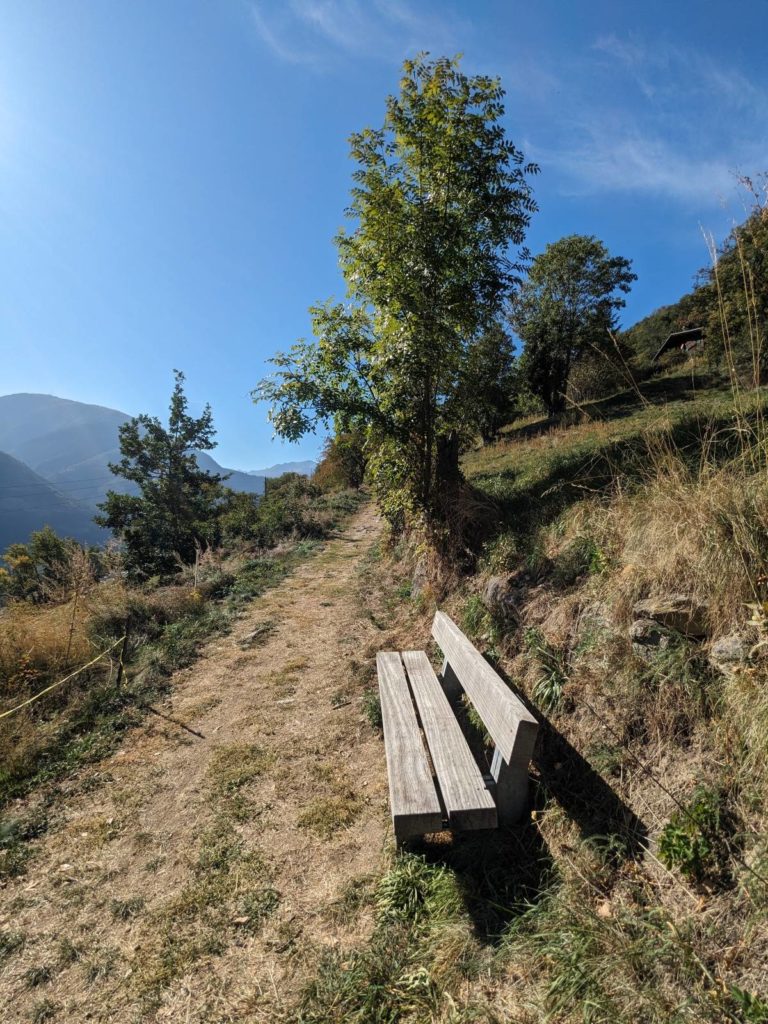 banc-3065