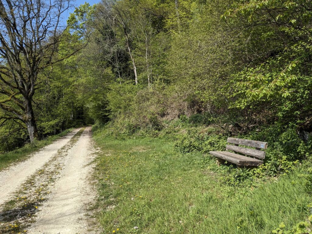 banc-3113