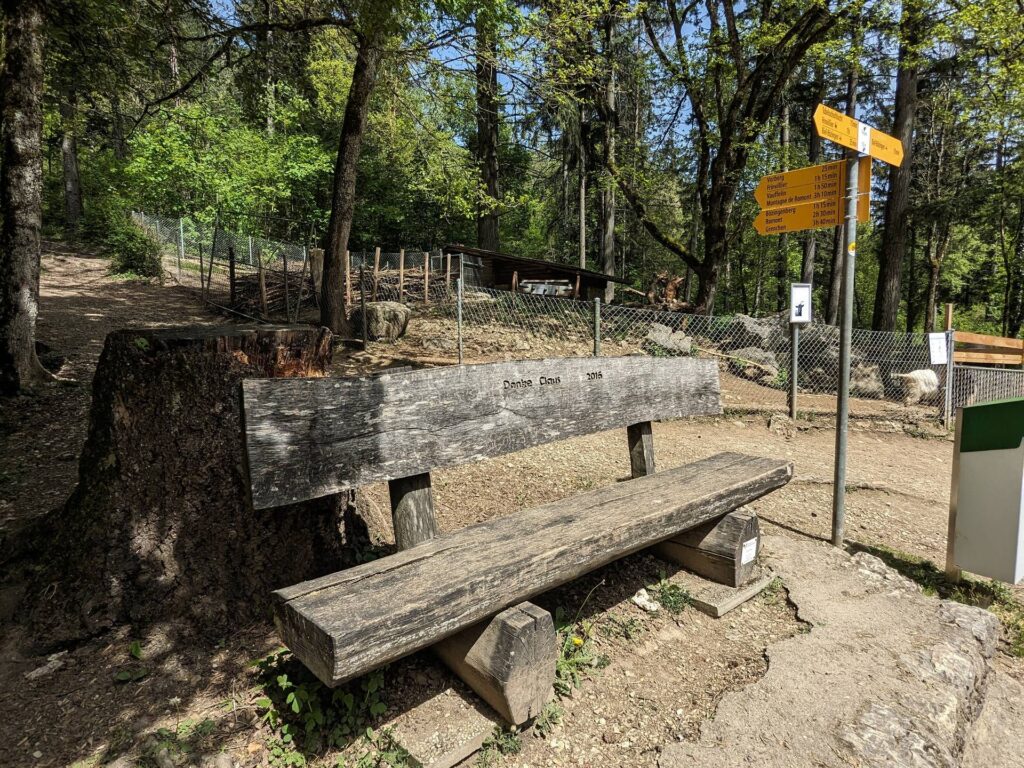 banc-3117