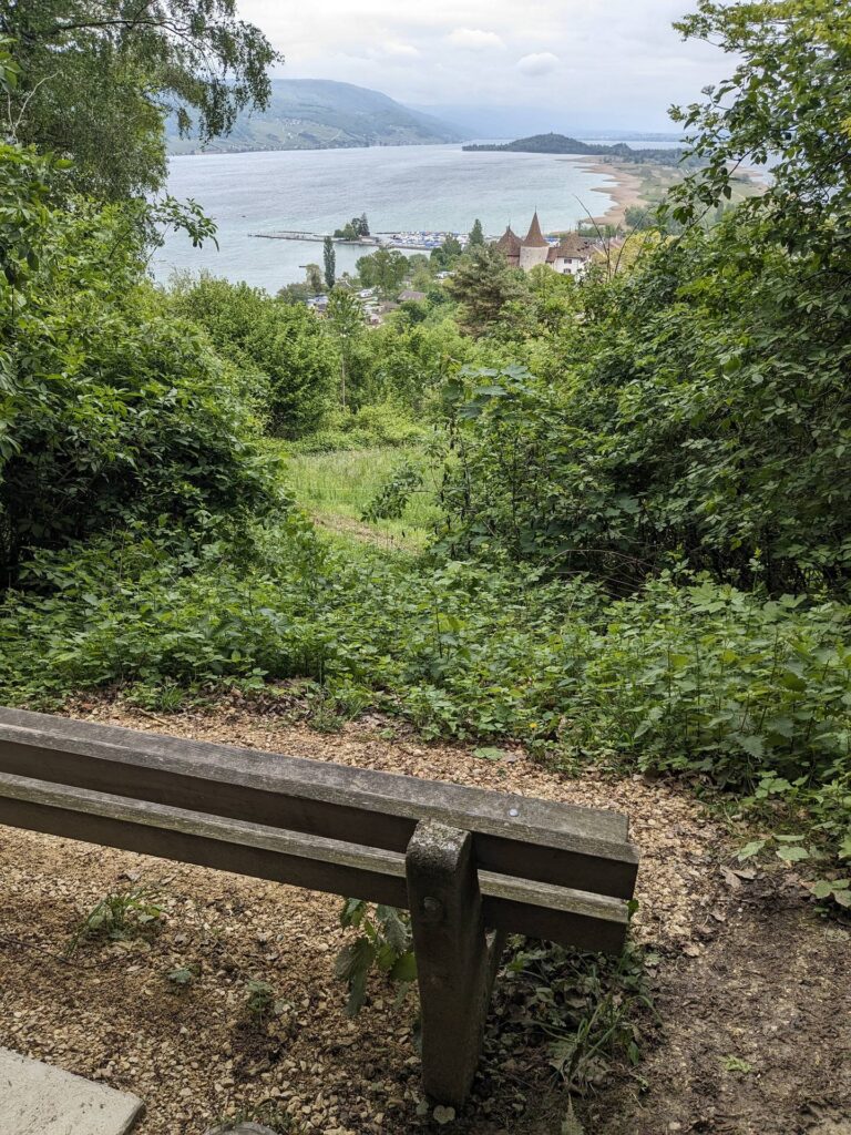 banc-3120
