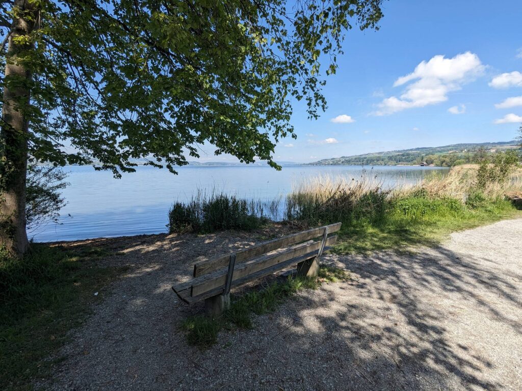 banc-3128