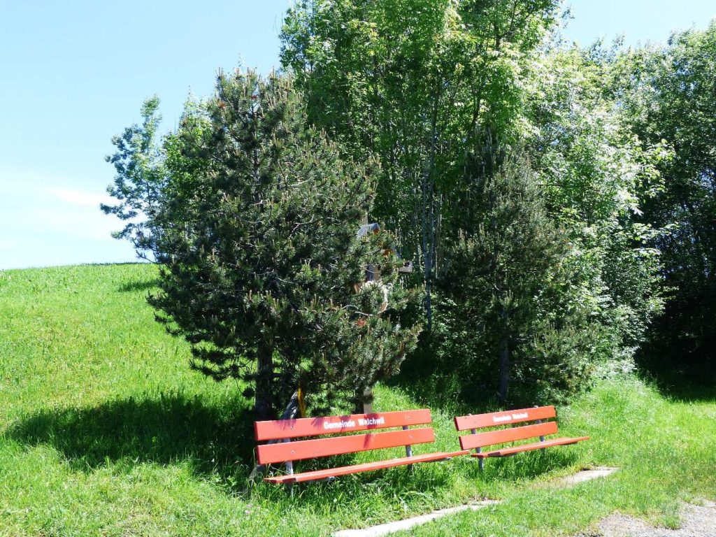 banc-313