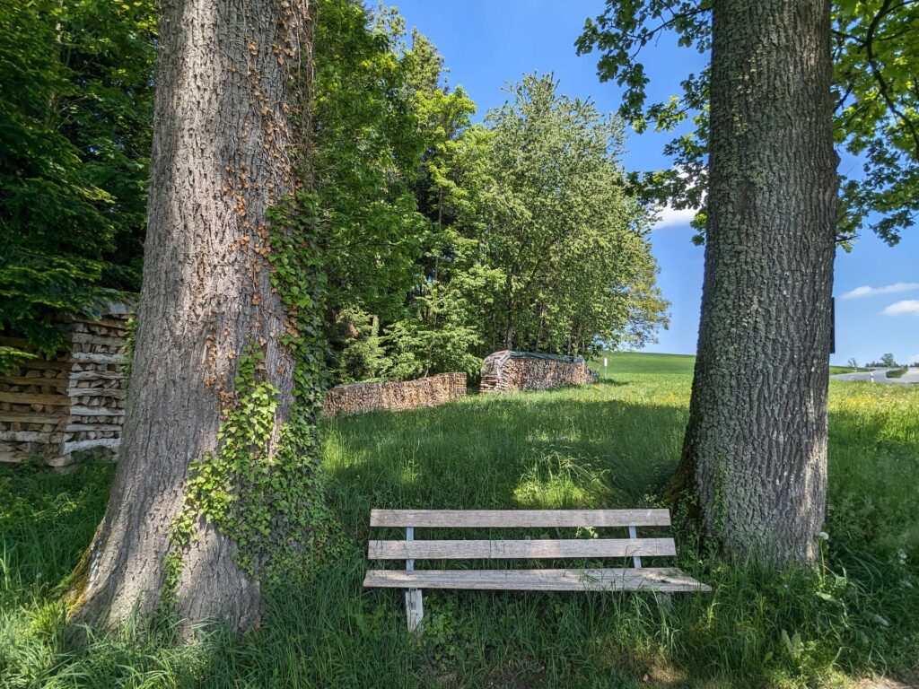 banc-3132