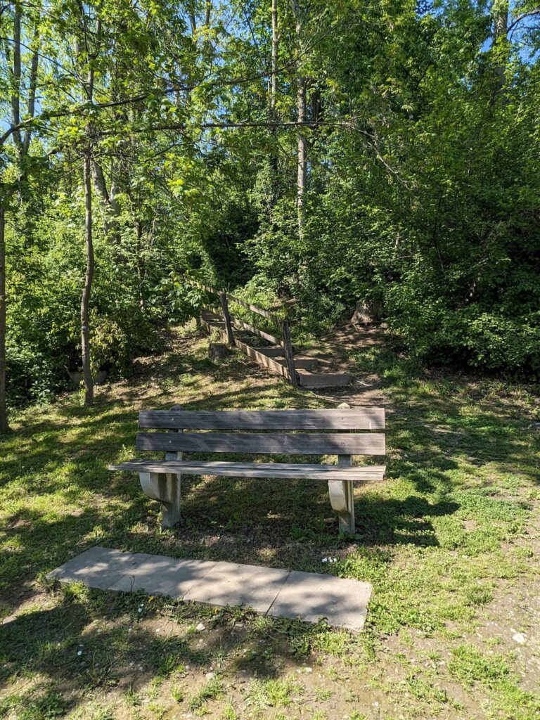 banc-3135