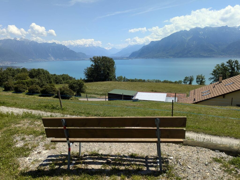 banc-3144