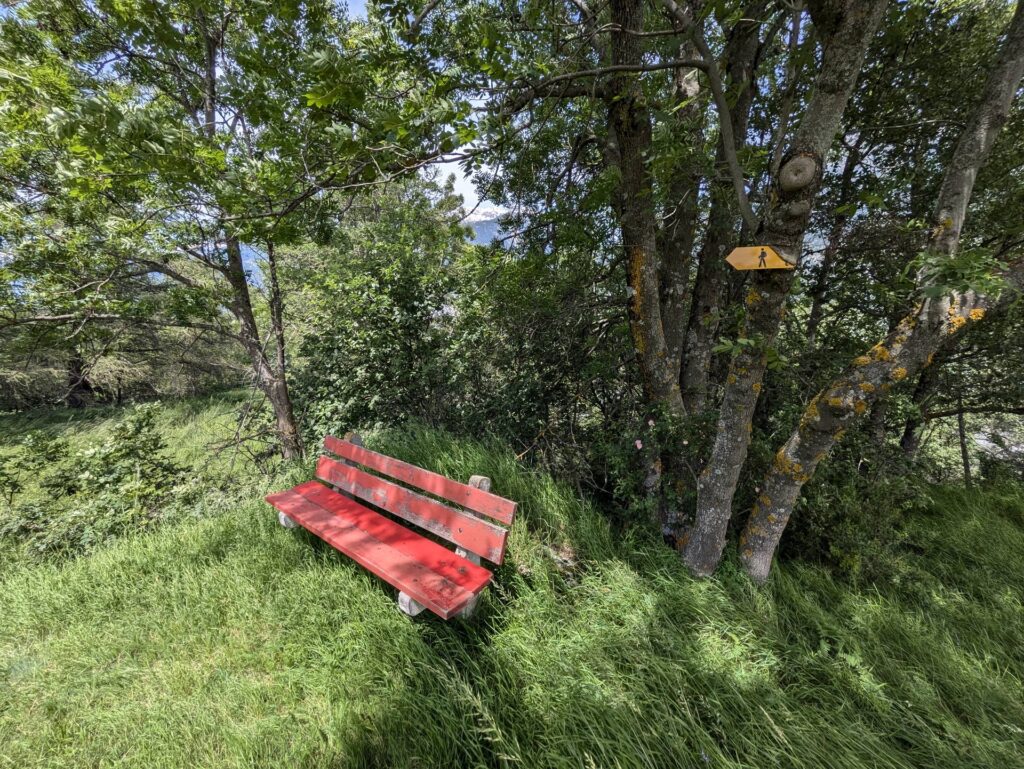 banc-3166