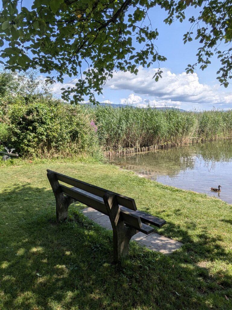 banc-3171