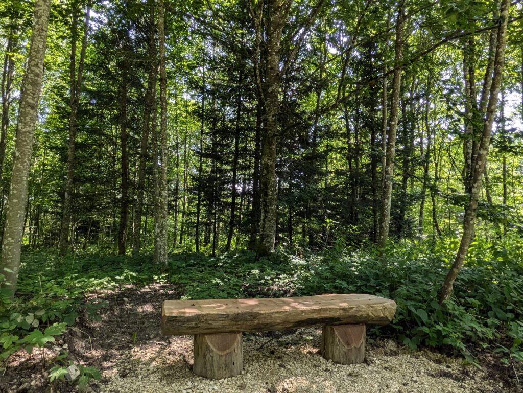 banc-3177