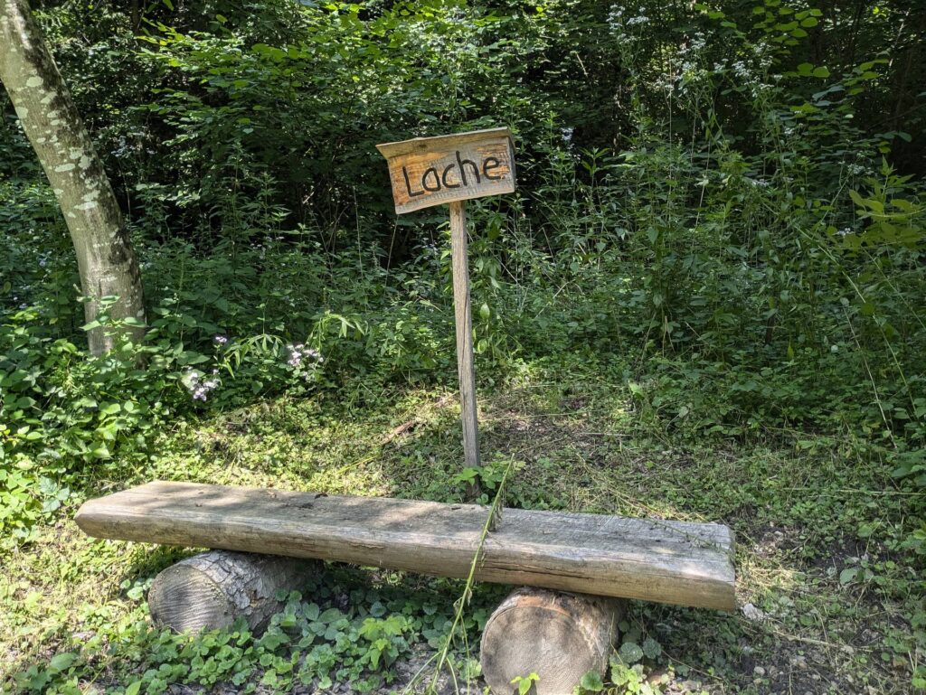 banc-3178