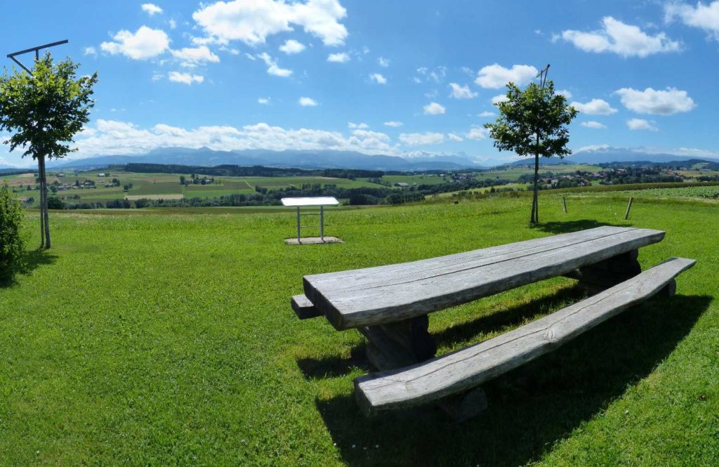 banc-318
