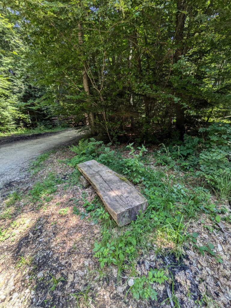 banc-3181