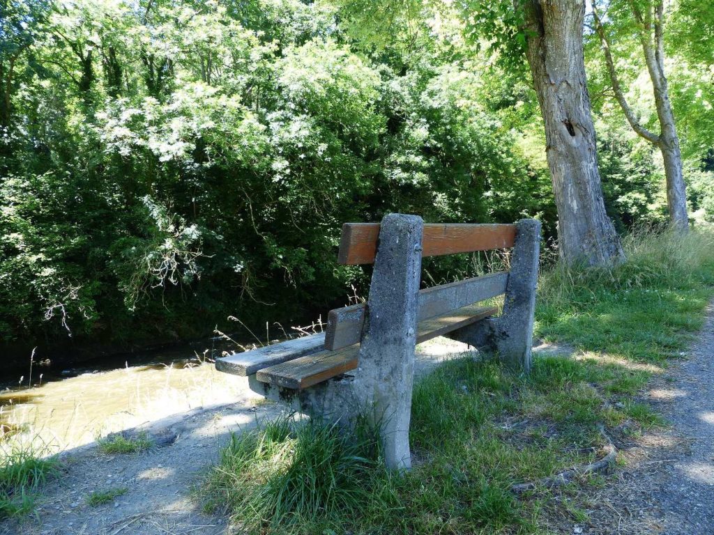 banc-319