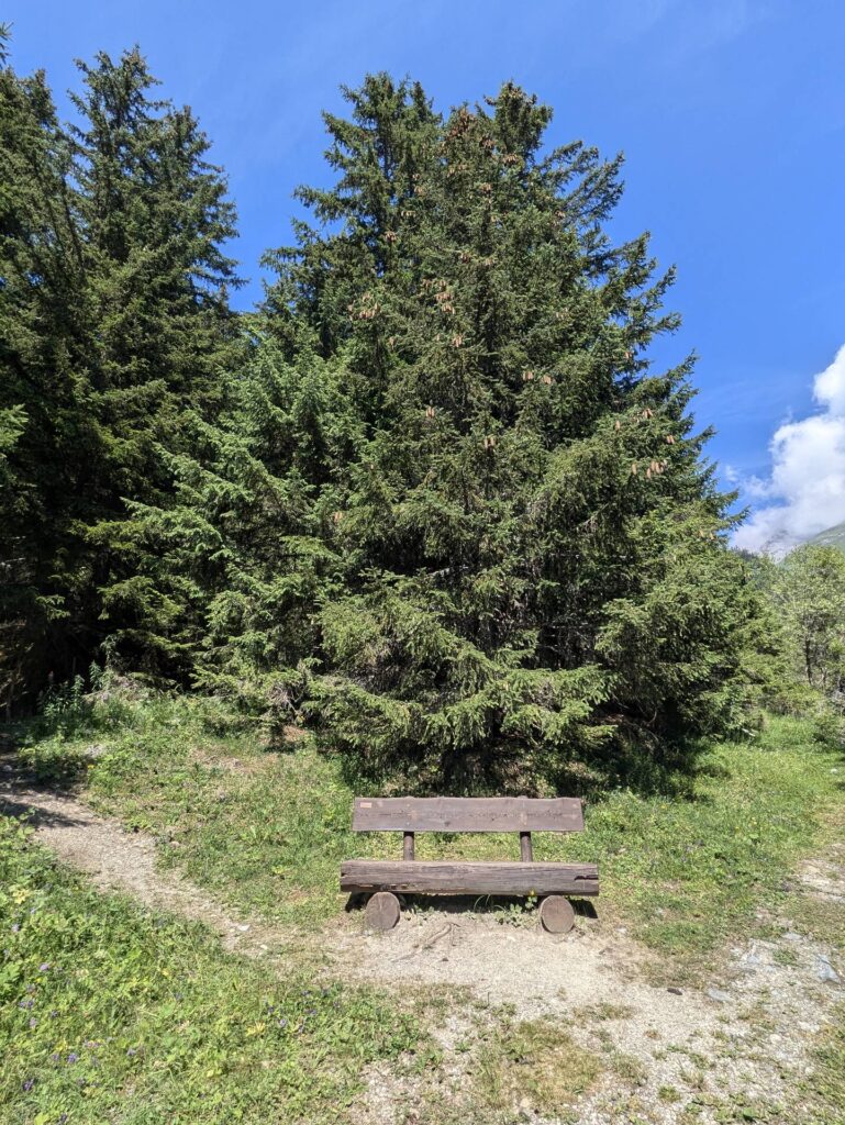 banc-3198