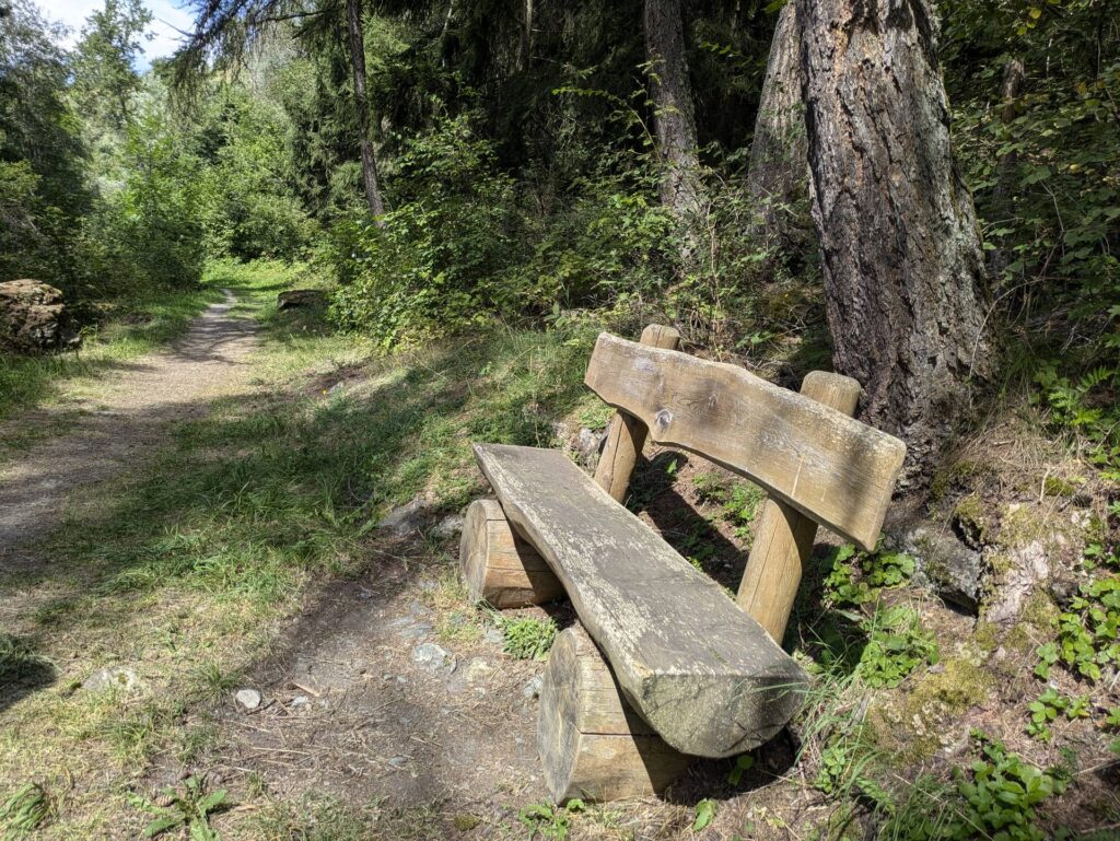 banc-3204