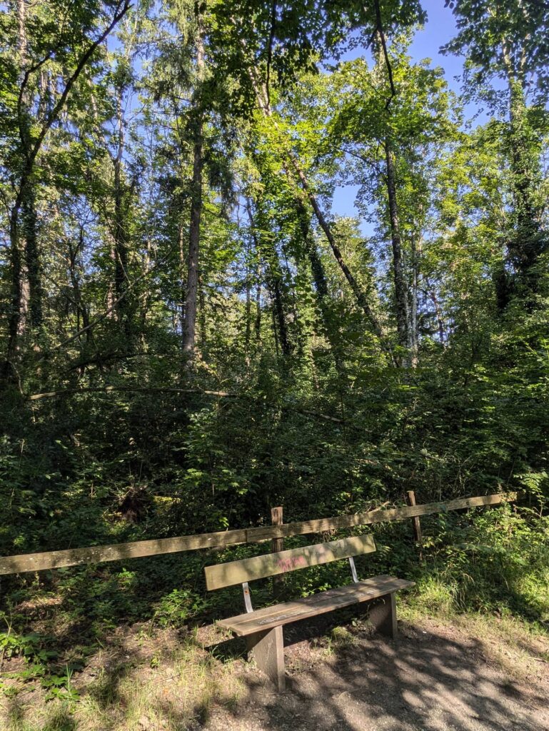 banc-3249